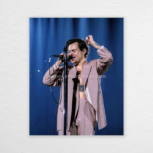 Harry Love On Tour Nashville Night 1 Print