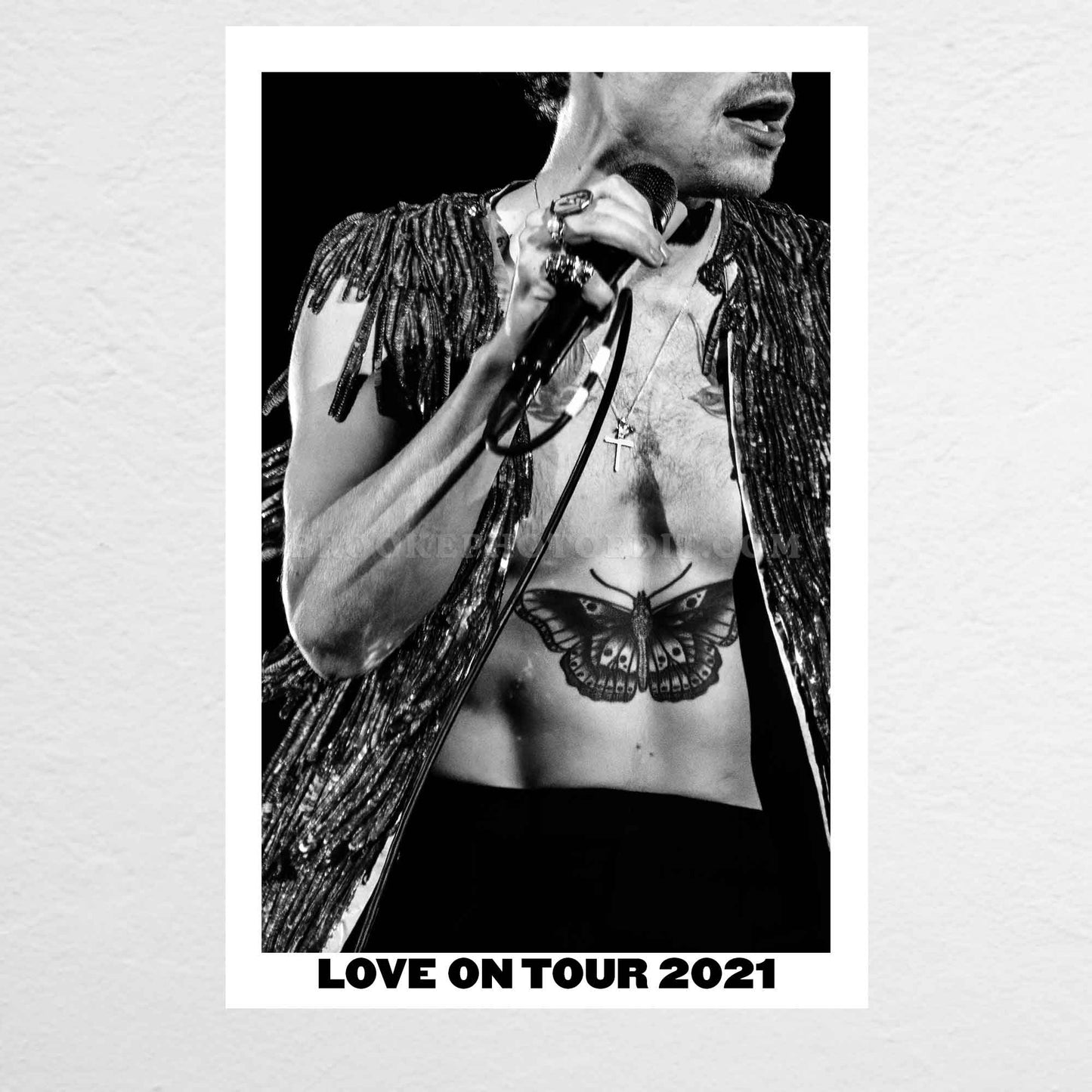 Harry Love On Tour Long Island Print