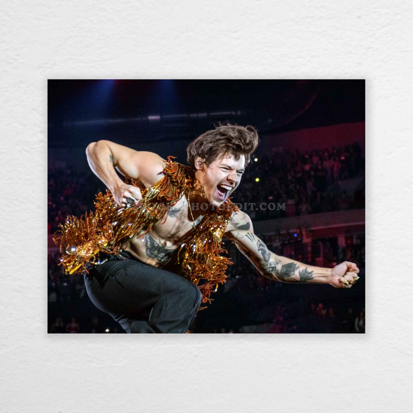 Harry Love On Tour Long Island Print