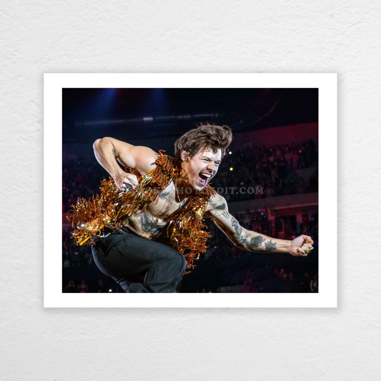 Harry Love On Tour Long Island Print