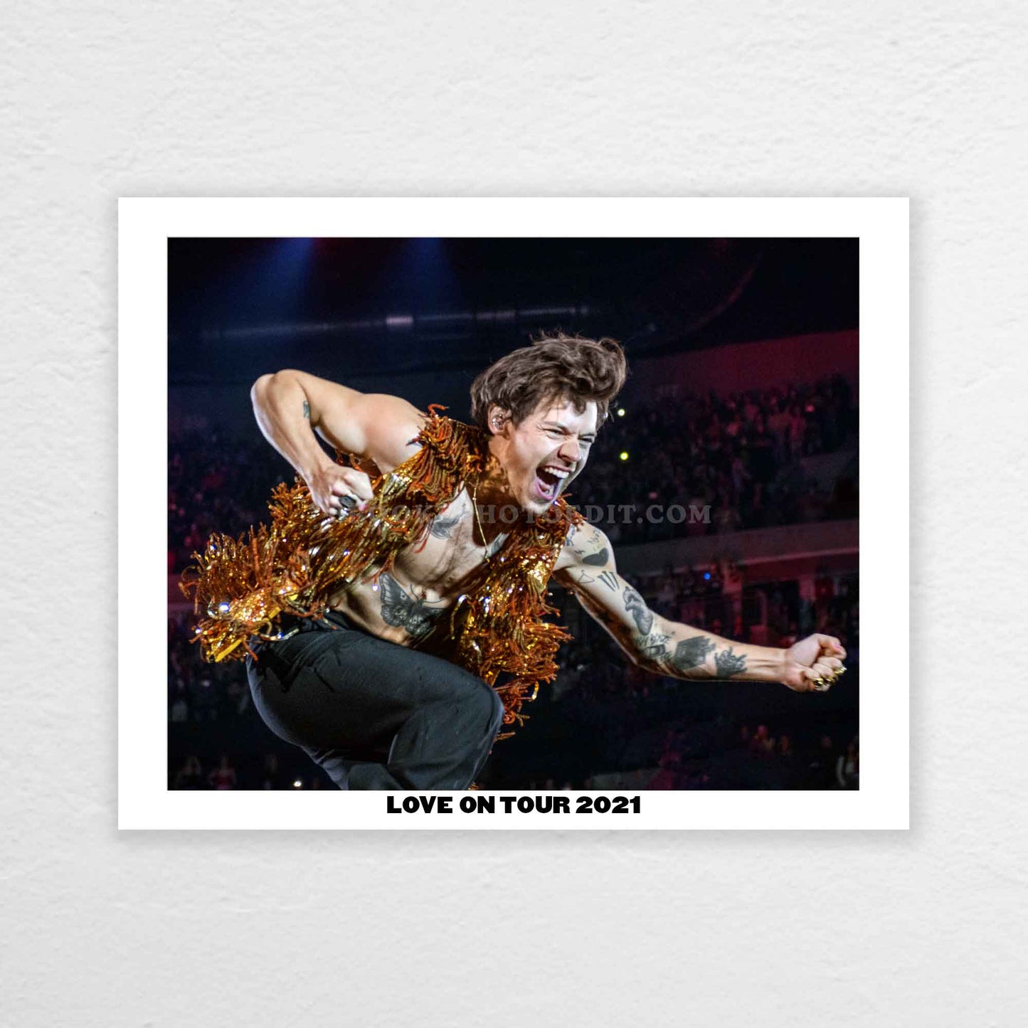 Harry Love On Tour Long Island Print