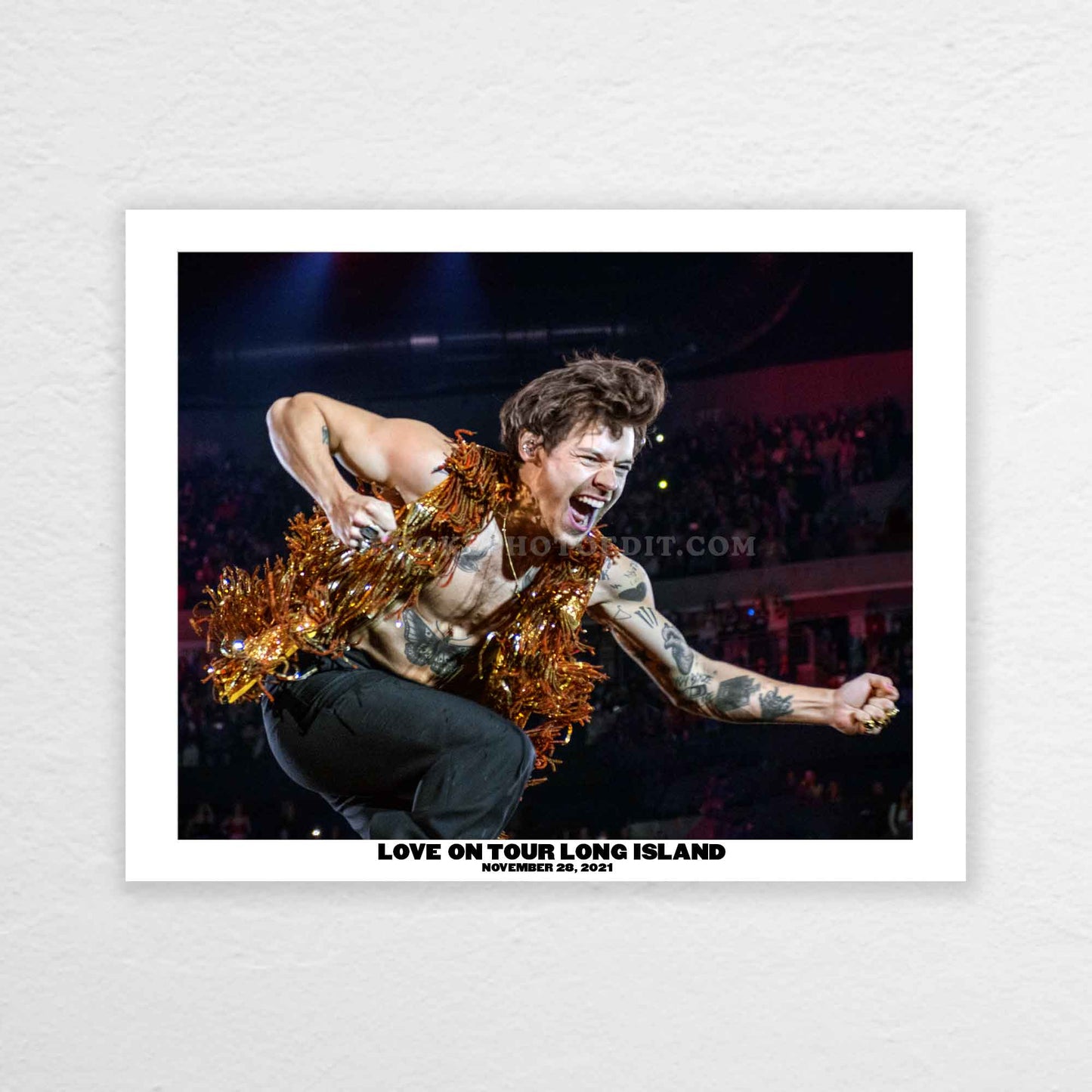 Harry Love On Tour Long Island Print