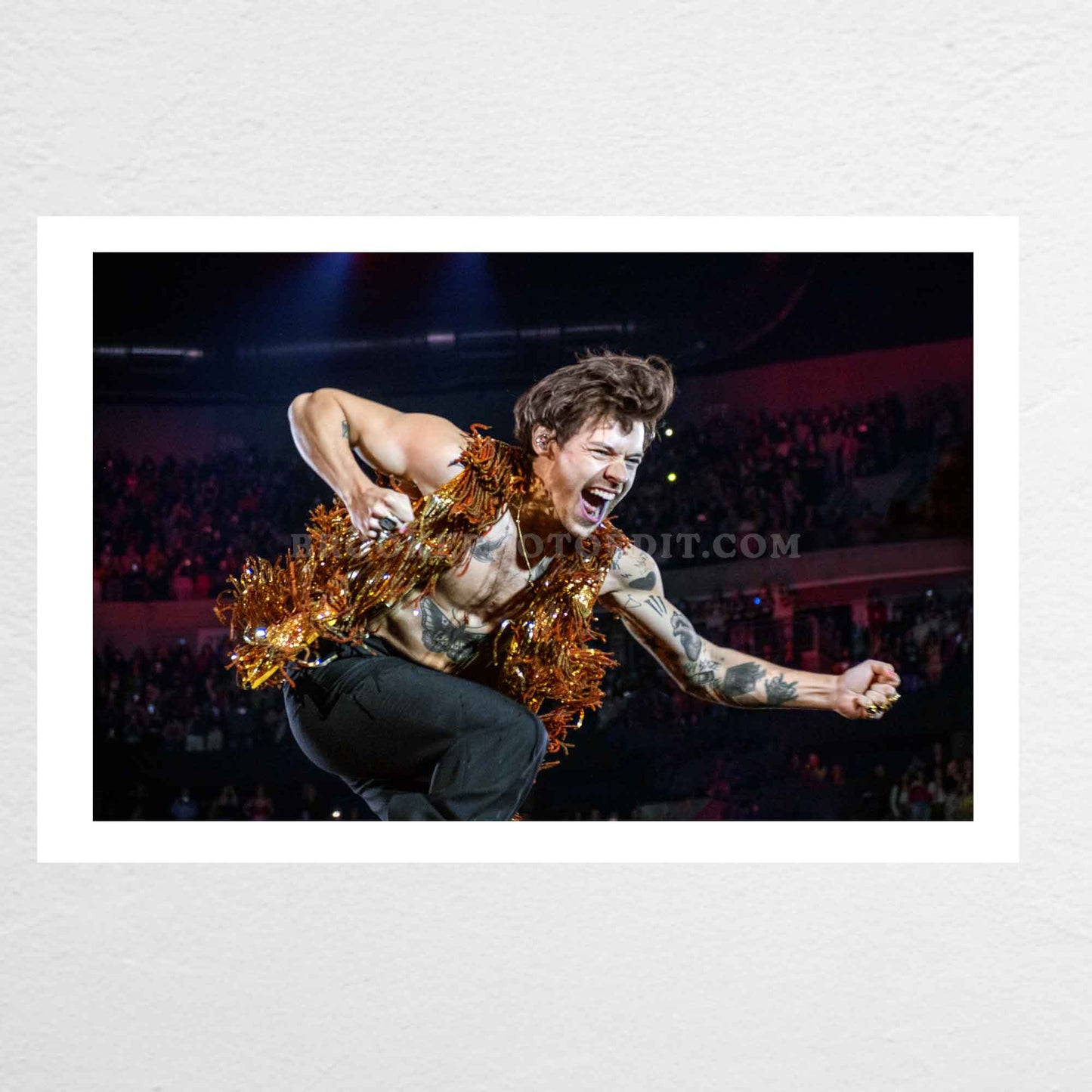 Harry Love On Tour Long Island Print