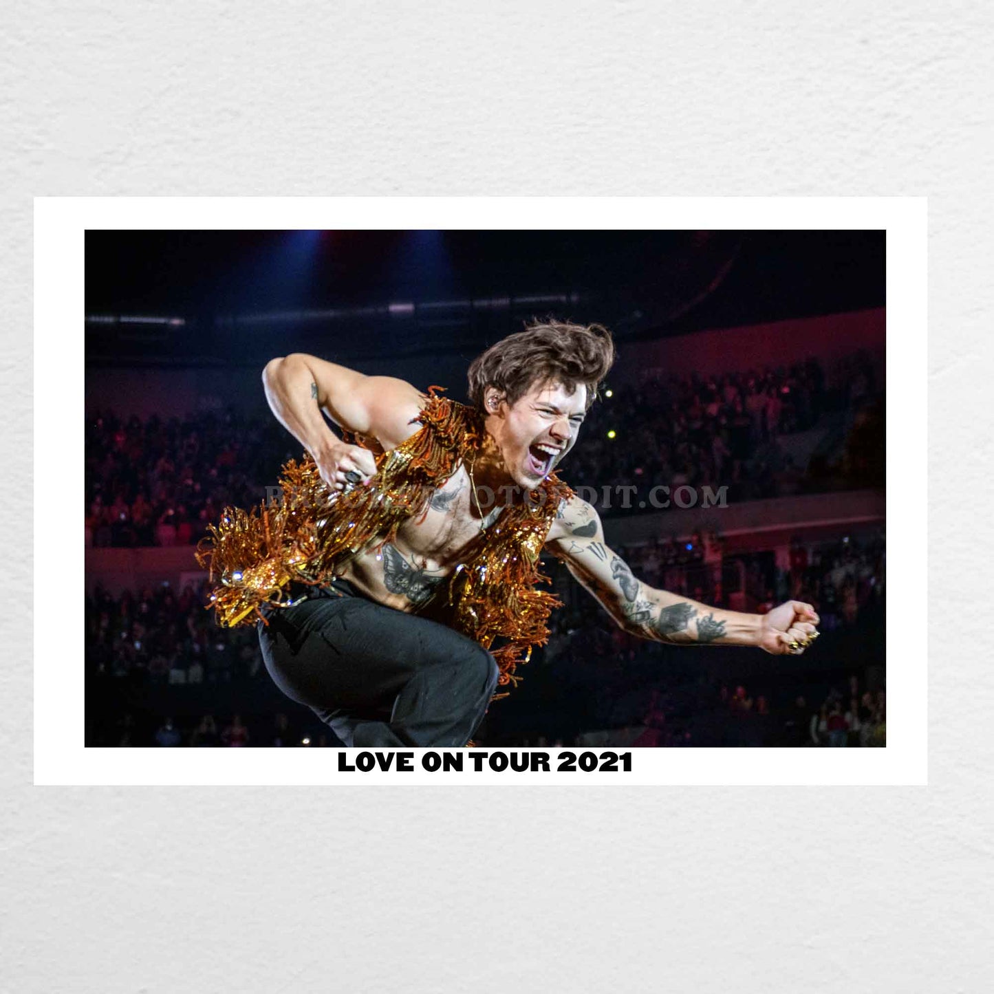 Harry Love On Tour Long Island Print