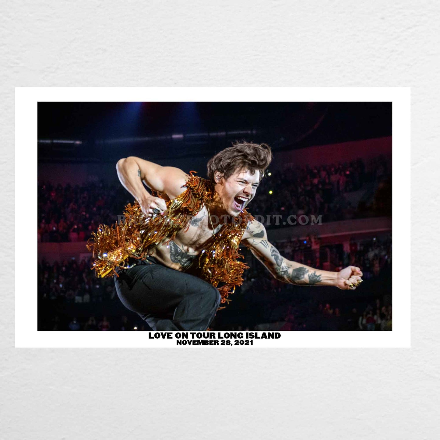 Harry Love On Tour Long Island Print