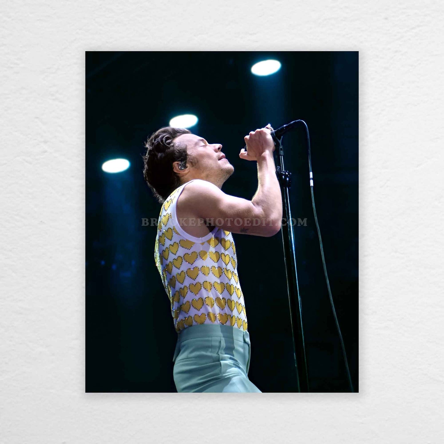 Harry Love On Tour Chicago Night 6 Print