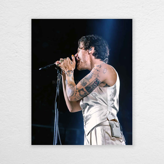 Harry Love On Tour Nashville Night 2 Print