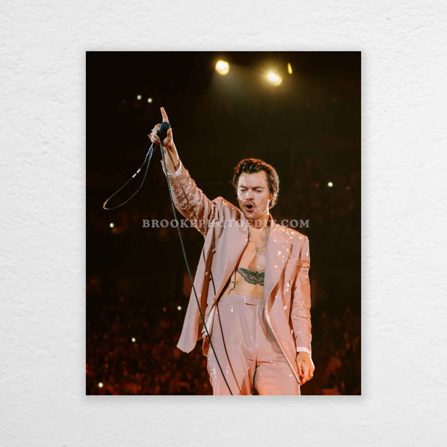 Harry Love On Tour Nashville Night 1 Print