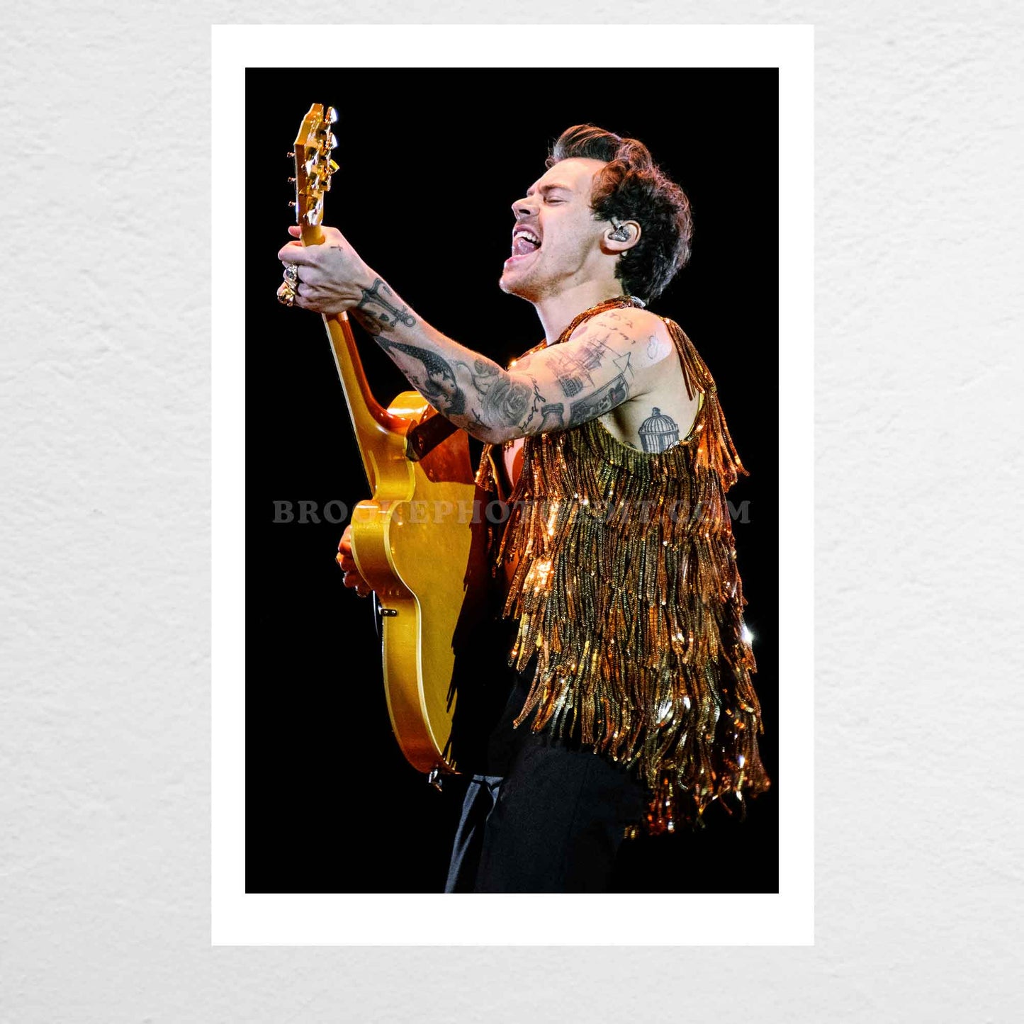 Harry Love On Tour Long Island Print