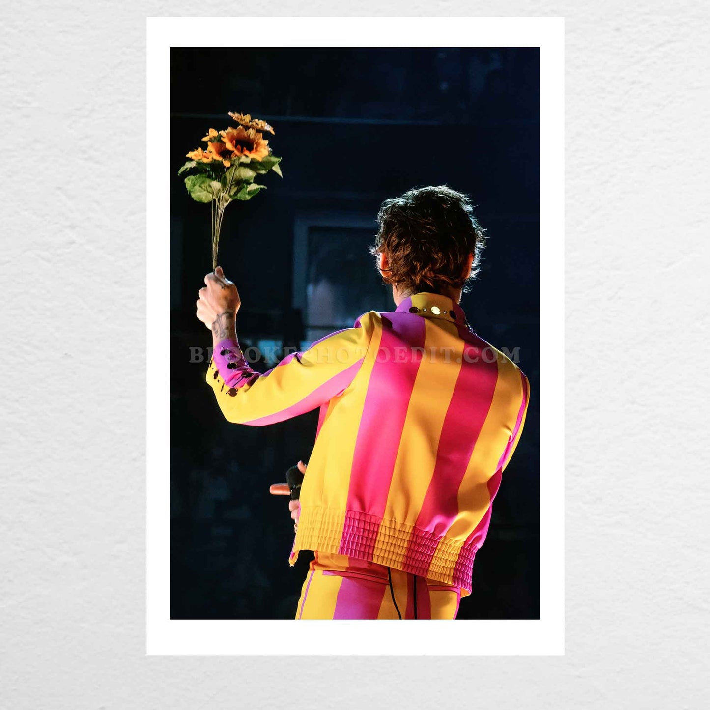 Harry Love On Tour Chicago Night 5 Print