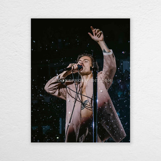 Harry Love On Tour Nashville Night 1 Print