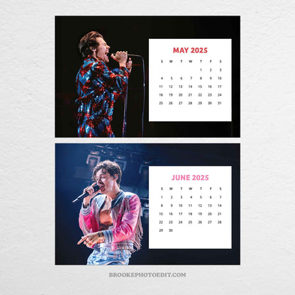 2025 Harry Styles Desk Calendar