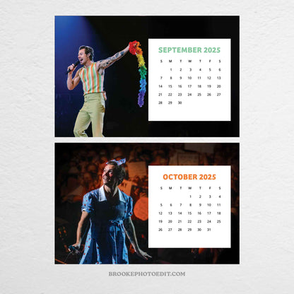 2025 Harry Styles Desk Calendar