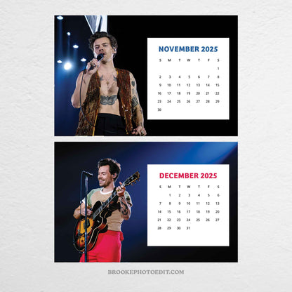 2025 Harry Styles Desk Calendar