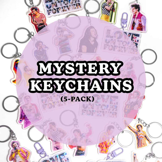 Mystery Harry Keychains (5-Pack)
